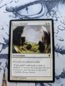 MTG - Terra Eternal - Worldwake - NM - Image 1
