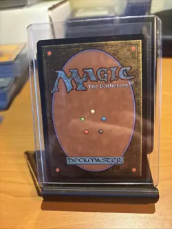 Training Grounds (Borderless) Avatar: The Last Airbender: Eternal-Legal Regular - Image 2