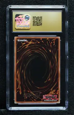 Blue-Eyes White Dragon Limited Edition YuGiOh Legendary Collection 1 Box Set - Image 2