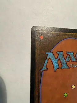 MTG - Savannah - Revised - 1994 - EX- - Image 5