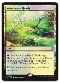 Windswept Heath #248 (Foil) (LP) Khans of Tarkir KTK Magic MTG - Image 1