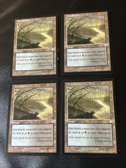 Salt Marsh X4 Invasion LP/Ex Condition See Pics Front/Back - Image 1