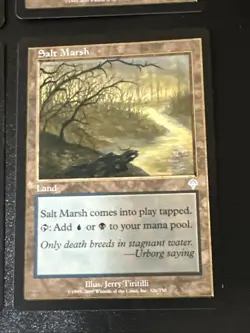 Salt Marsh X4 Invasion LP/Ex Condition See Pics Front/Back - Image 2