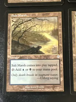 Salt Marsh X4 Invasion LP/Ex Condition See Pics Front/Back - Image 3