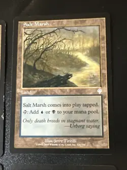 Salt Marsh X4 Invasion LP/Ex Condition See Pics Front/Back - Image 4