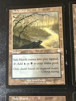 Salt Marsh X4 Invasion LP/Ex Condition See Pics Front/Back - Image 5