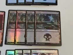 Charix, The Raging Isle with 20 Foil Lands, ZNR Bundle Lot of 21x Holo MTG Cards - Image 5