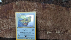 Pokemon TCG Pidgeot Jungle Holo Card 8/64 Unlimited Rare 1st Edition LP - Image 2
