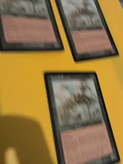 Xantid Swarm x3 rare insect Magic the Gathering 3 Card. Scourge - Image 5