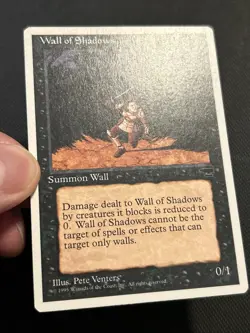 Wall of Shadows Chronicles Regular - Image 3