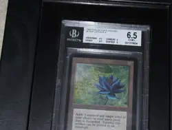 BLACK LOTUS 1993 COLLECTORS EDITION Magic the Gathering 6.5 Rating FRAMED - Image 2