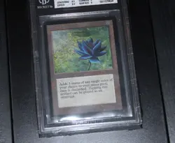 BLACK LOTUS 1993 COLLECTORS EDITION Magic the Gathering 6.5 Rating FRAMED - Image 3