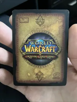 Spectral Tiger 193/246 Outland Rare, WoW, TCG, CCG, Vintage, LP Condition - Image 2