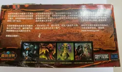World of Warcraft T-Chinese Fires of Outland 10 Sealed Booster Packs Tiger LootU - Image 4