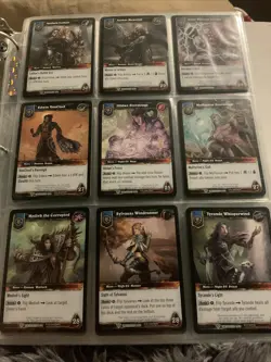 Wow TCG Binder Complete Timewalker Heroes And 2 Missing From War Of The Ancient - Image 2