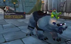 BLIZZCON 2008 World Of Warcraft POLAR BEAR LOOT CARD Big Blizzard Bear MOUNT NEW - Image 2