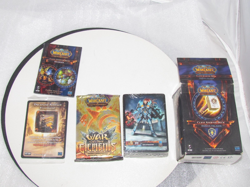 Human Paladin Class Starter Deck 2011 [Open Box] WoW World of Warcraft Alliance - Image 1