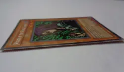 Witch of the Black Forest MRD-116 (Rare, Unlimited, Moderately Played / MP) - Image 3