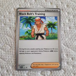 Black Belt's Training 219 Sv: Scarlet & Violet Promo Card Regular - Image 1