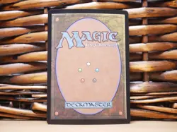 MTG Forest 0278 FOIL LAND | NM Near Mint | BLB | 2024 #2 - Image 2