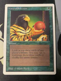 Natural Selection MTG Unlimited Edition Magic the Gathering LP - Image 1