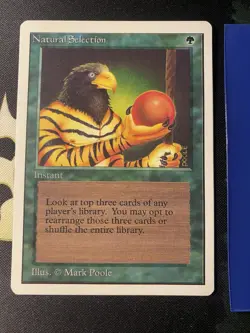 Natural Selection Unlimited Magic The Gathering LP - Image 1