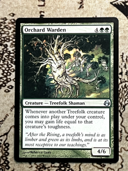 Orchard Warden - Morningtide - 131 - #Lightly Played Magic the Gathering - Image 1