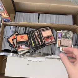 Magic The Gathering Basic Lands Collection Huge Lot - Image 1