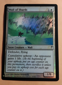 Wall of Shards - Foil - Mystery Booster and The List *NM* Near Mint MTG - Image 1