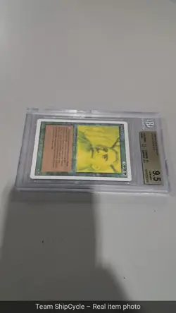 Gaeas Liege BGS 95 GEM MINT QUAD Revised 3rd Edition MTG Pop 15 G2U - Image 5