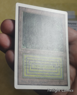 BAYOU MP -- Unlimited MTG -- See Photos - Image 3