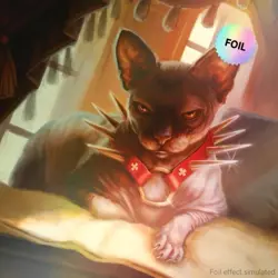 MTG Secret Lair: Cats Are Better Than Dogs | Rainbow Foil Edition Sealed - Image 1
