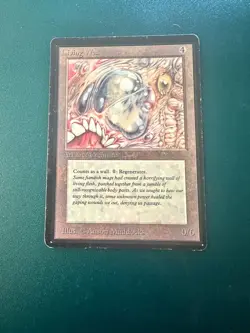 MtG Living Wall: Beta LP ACTUAL PHOTOS! - Image 1