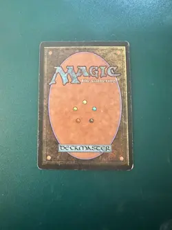 MtG Living Wall: Beta LP ACTUAL PHOTOS! - Image 2