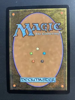 MTG * RUSSIAN * Hallowed Fountain NM Normal Dissension - Image 2