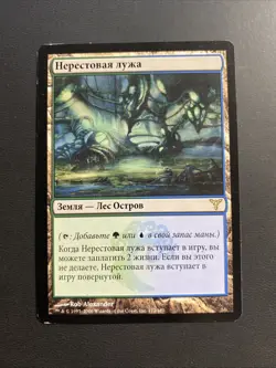 MTG * RUSSIAN* Breeding Pool (172/190) Dissension Very LP Magic the Gathering - Image 1