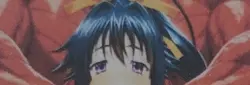 Highschool dxd Akeno Himejima waifu card - Image 1