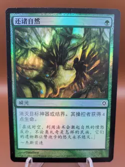 FOIL CHINESE Nature's Claim x1 MTG Worldwake Magic Near Mint NM English - Image 1