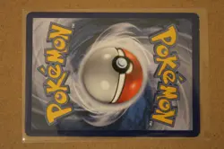 Ursaring RC16/RC25 Legendary Treasures: Radiant Collection Holo Stars Pokemon - Image 2