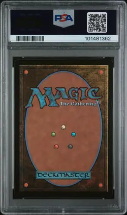 2024 MTG FOUNDATIONS BORDERLESS #323 RISE OF THE DARK REALMS PSA 7 - Image 2