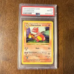 1999 Pokemon Game Base Set CHARMELEON Shadowless Card #24 PSA 8 NM-MT Rare! - Image 1