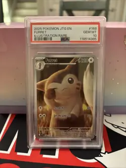 Pokemon TCG Journey Together Furret Illustration Rare Card 168/159 SV09 PSA 10 - Image 1