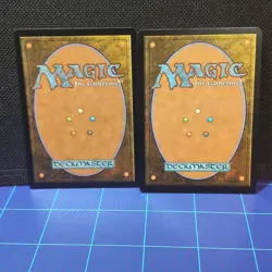 Bleachbone Verge (Borderless) - Aetherdrift (DFT) Land#0371 Both versions lot - Image 2