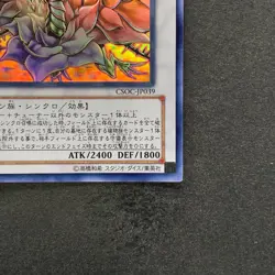 Black Rose Dragon CSOC-JP039 Ghost Rare YuGiOh 4880 - Image 5