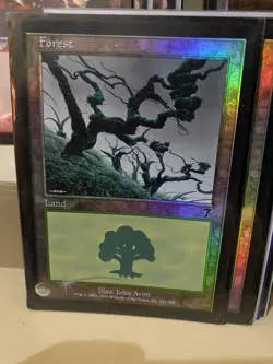 Magic: the Gathering Holo Foil Basic Lands lot - 25 Basic Lands - All Foil 636996769180 - Image 2