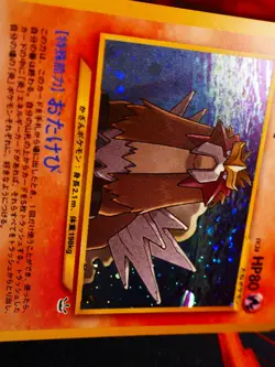 LP JAPANESE Pokemon ENTEI Card NEO REVELATION/AWAKENED Set#244 HOLO RARE Bleed#1 - Image 5