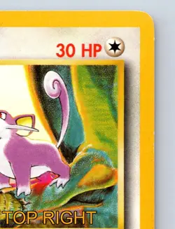 Rattata HP 30 Bite Attack Common Yellow Vibrant Pokemon Card - Image 4