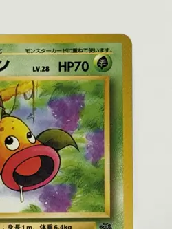 Weepinbell No. 070 Jungle Set old back vintage Japanese pokemon card From Japan - Image 3