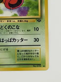 Weepinbell No. 070 Jungle Set old back vintage Japanese pokemon card From Japan - Image 5