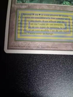 MTG cards Revised Edition #283 Bayou in French - Image 1